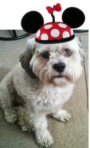 Minnie Hat Muffin